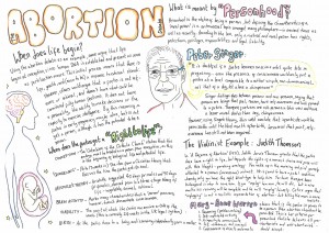 A level poster overview abortion